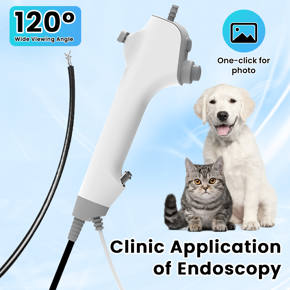 Disposable ENT Veterinary Endo - Useful Tech Accessories ulasan dan harga
